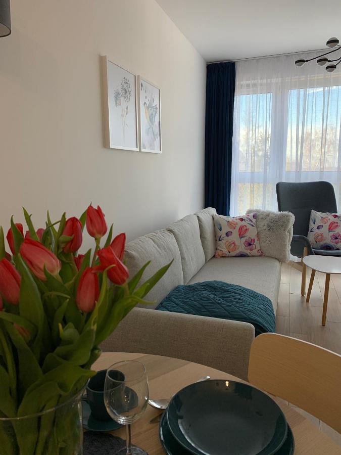 Apartamenty Bliska 33 Bielsko-Biala Exterior photo
